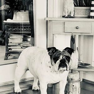 Meet your Posher, Brian